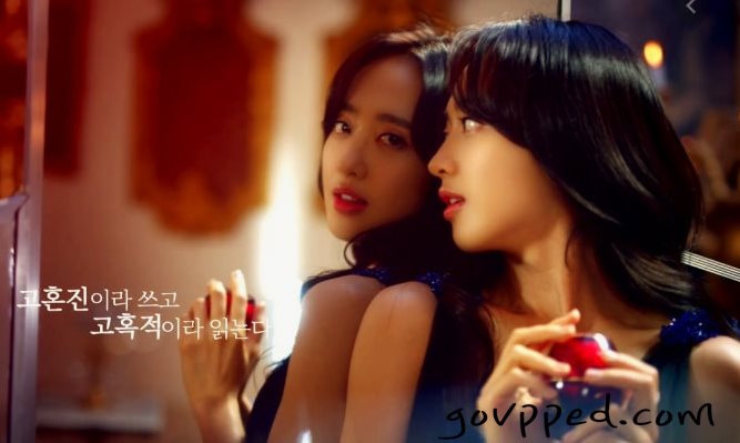  고혼진 화장품 가격, 후기