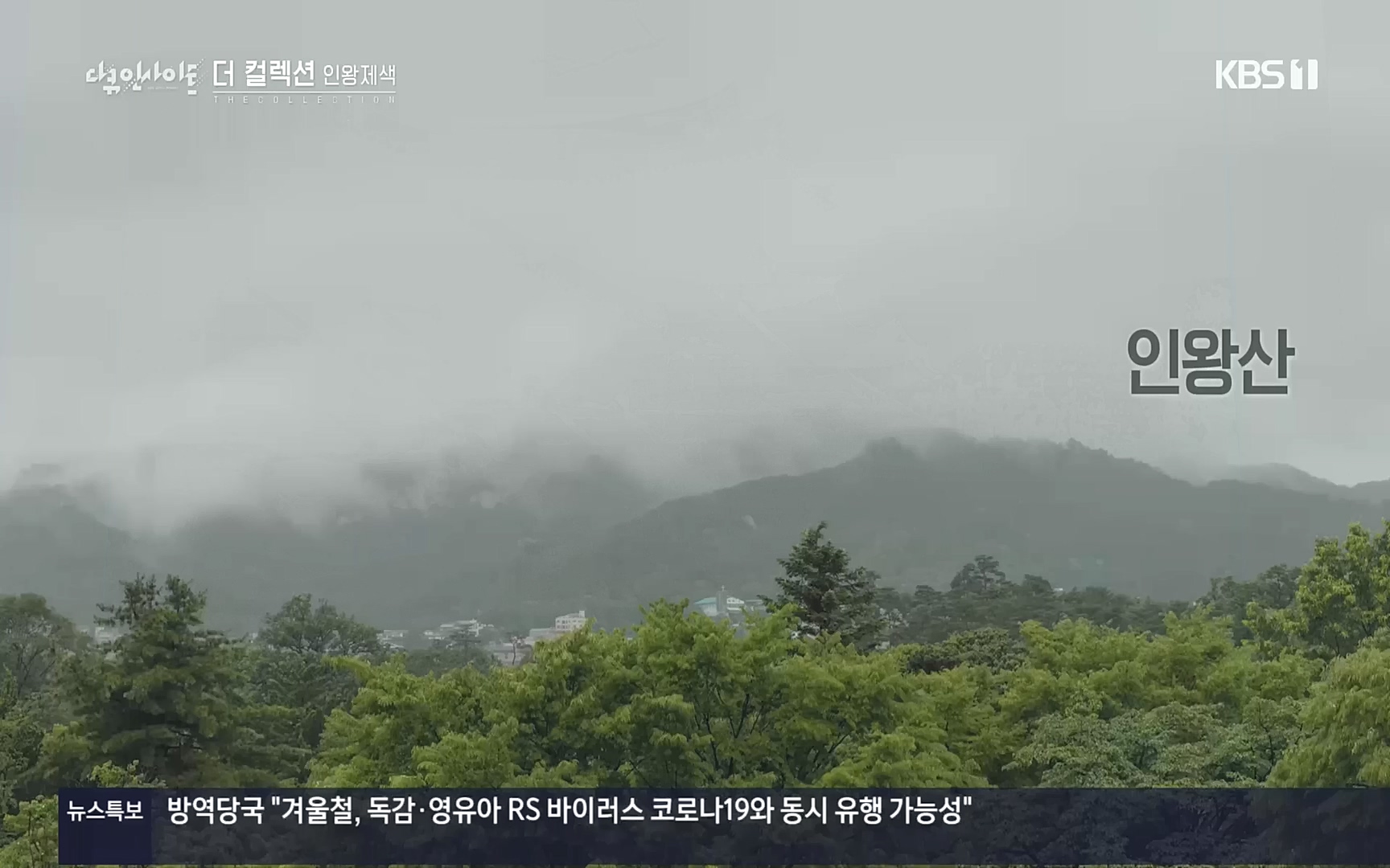 다큐 인사이트.E126.221006p.H264-F1RST.mp4_20221009_194106.679.jpg