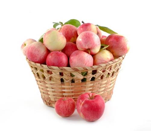 콜레스테롤낮추는음식 사과
