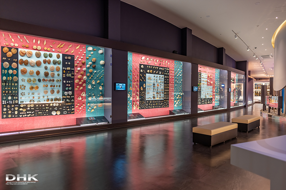 국내 1박2일 여름 여행 추천1박2일 서해 섬여행 신안 가볼만한곳 자은도 1004뮤지엄파크 세계조개박물관, 해바라기 11