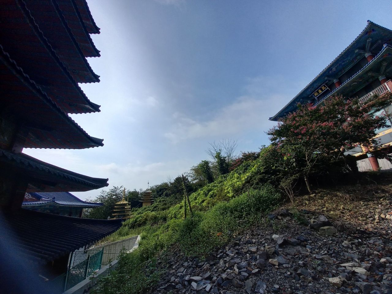 img.jpg