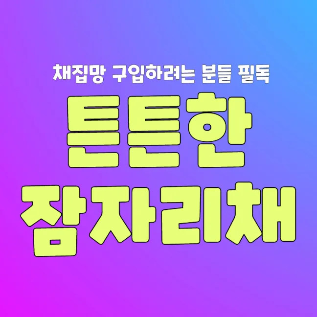 썸네일