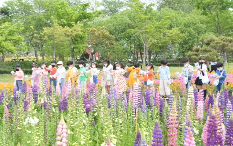 함평 나비축제_8