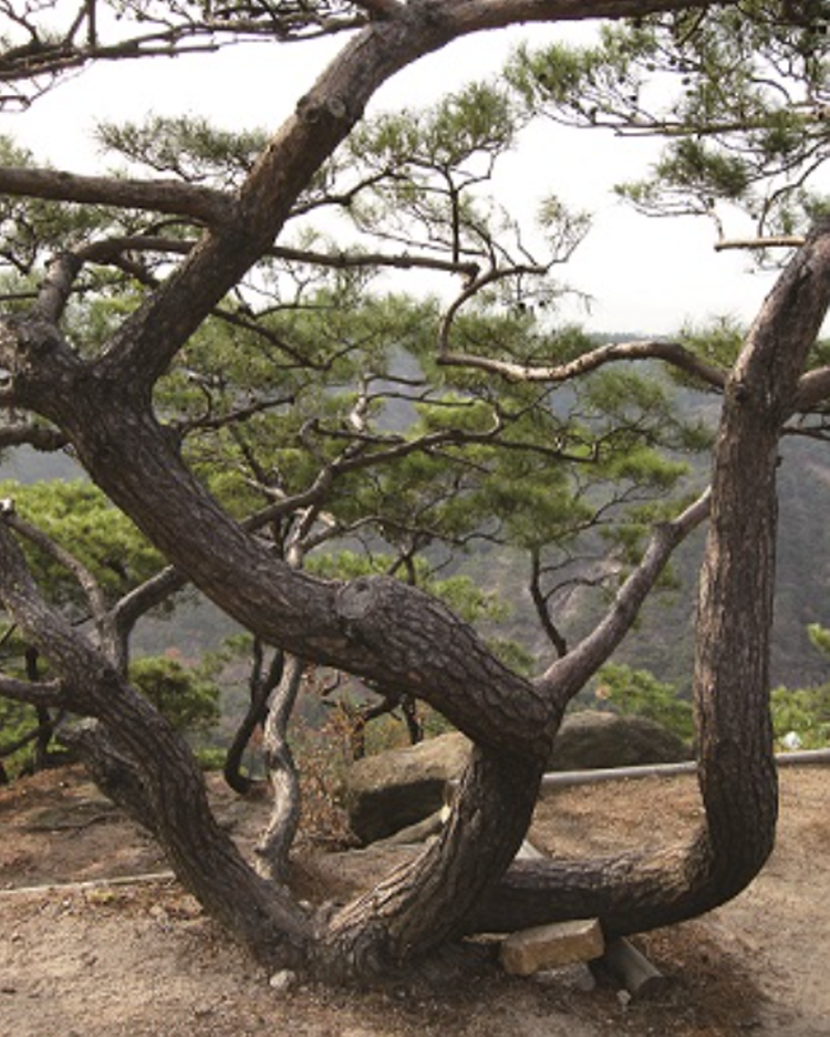 아차산 등산코스