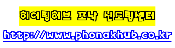 정부지원 제품안내! 보청기보조금 13