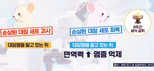 장 건강을 위한 운동&amp;#44; 걷기와 스트레칭