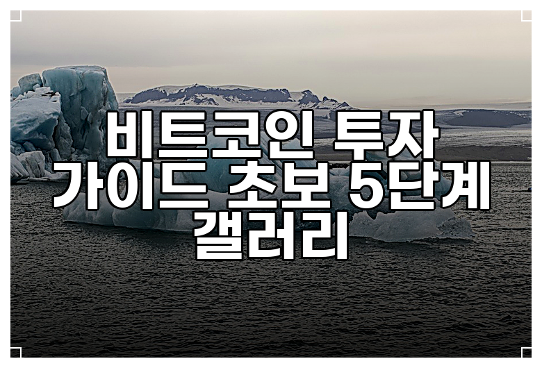 비트코인 투자 가이드 초보 5단계 갤러리