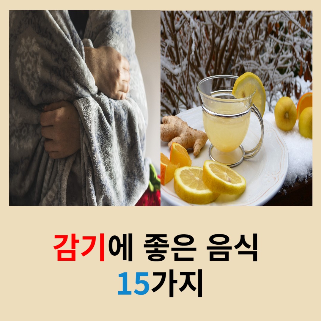 감기에-좋은-음식-15가지-사진