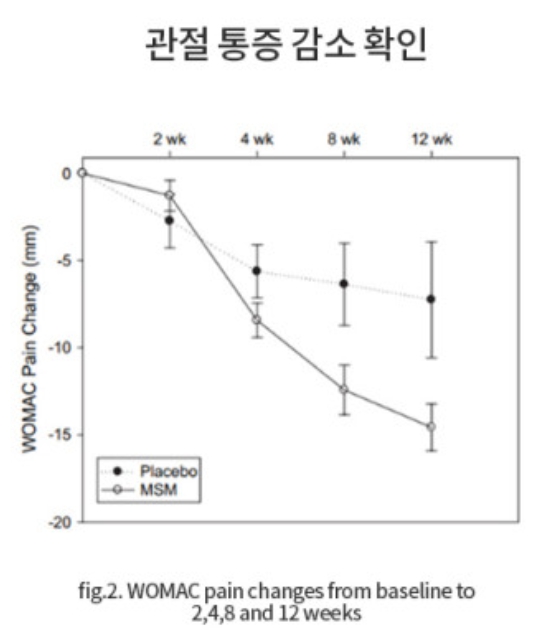 msm 관절통증 감소 확인