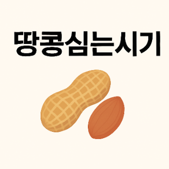 땅콩심는시기