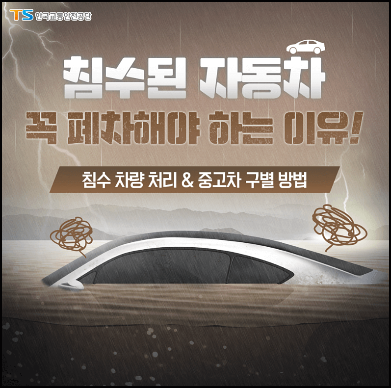  침수차 구별법, 기준, 처리방법 등 알아봅시다!