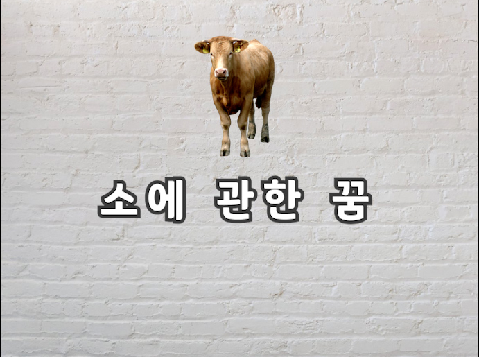 소에 관한 꿈 우리가 몰랐던 소에 대한 신기한 꿈풀이