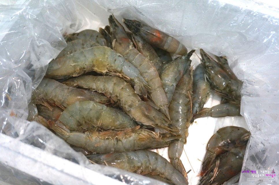 대하 새우 요리 천사수산 왕새우 9