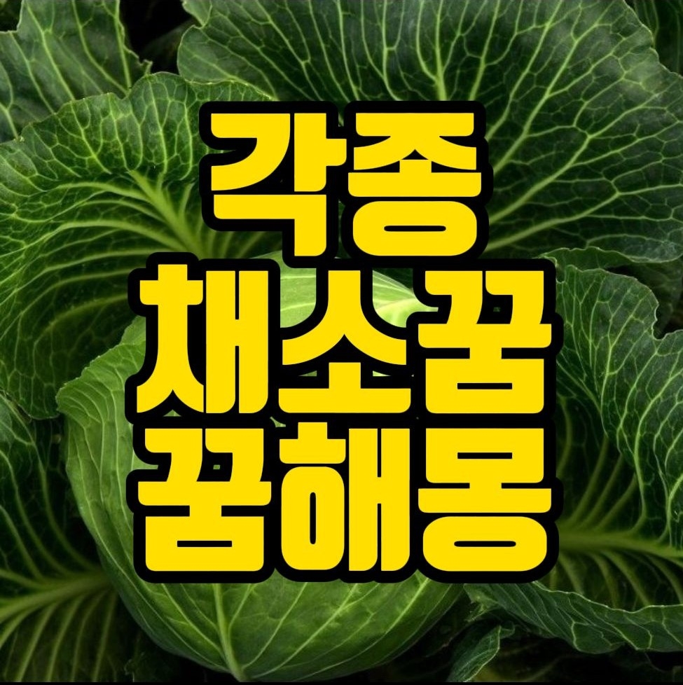  7[꿈해몽] 오이꿈,호박꿈,무꿈,배추꿈,각종 채소류 꿈 관련 꿈풀이 30선