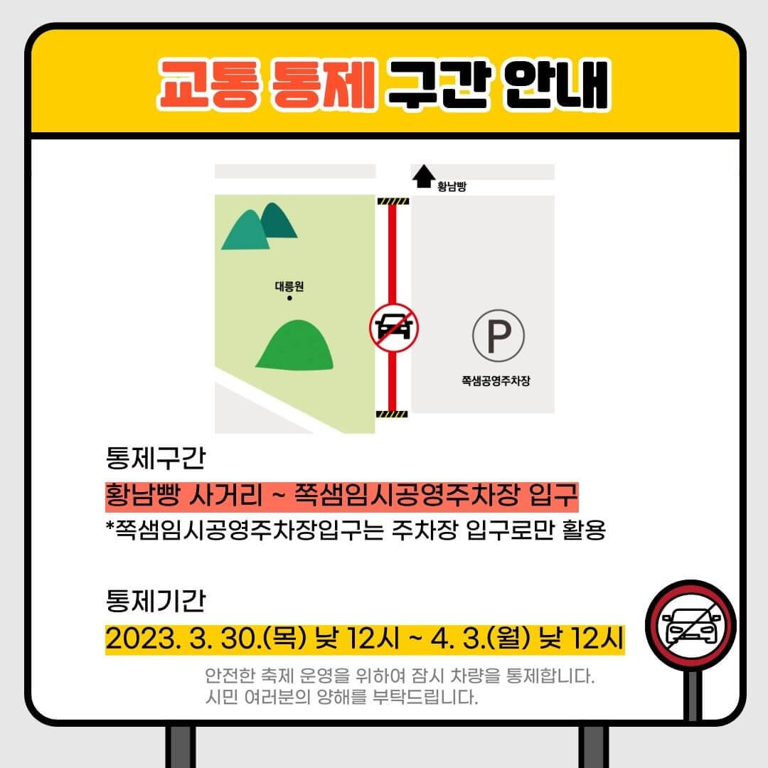 경주 벚꽃 축제 보문단지