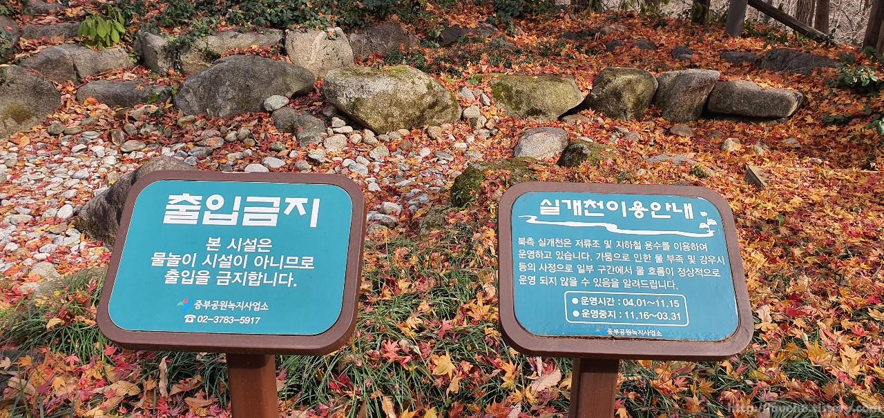 남산 Namsan/ 실개천이 있는데 물놀이 시설이 아니라 출입 금지입니다 참고하세요