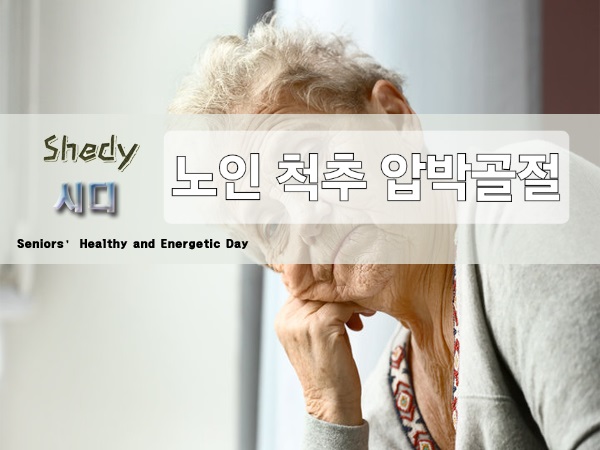  노인 척추 압박골절