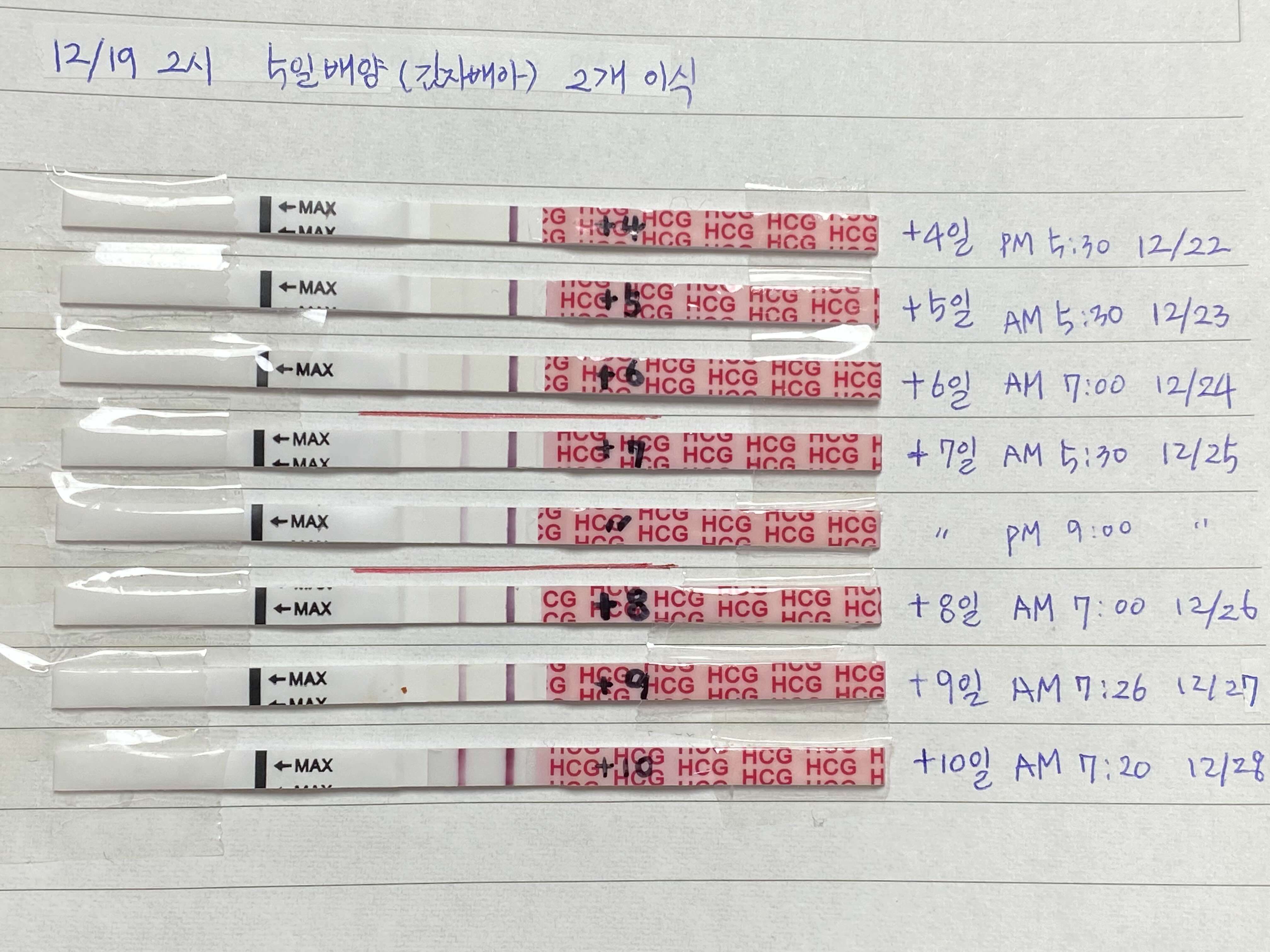 5일배양10일차