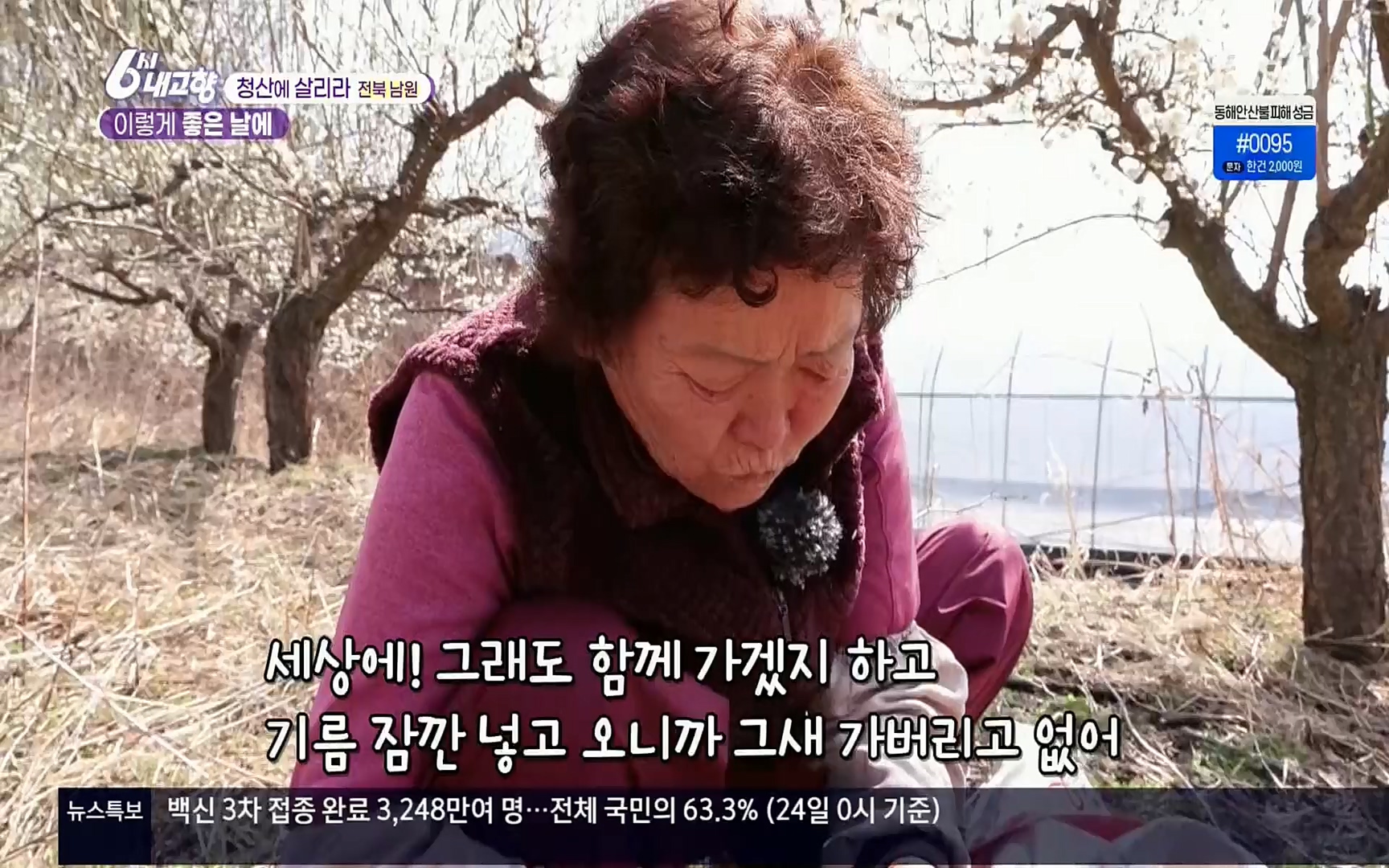 6시 내고향.E7496.220324p.H264-F1RST.mp4_20220328_181618.043.jpg