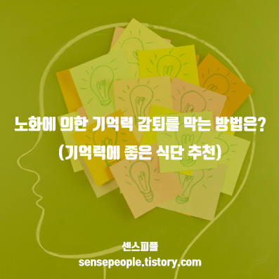  노화에 의한 기억력 감퇴를 막는 방법은? (기억력에 좋은 식단 추천)