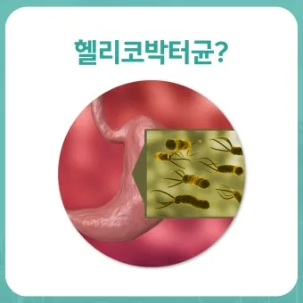 헬리코박터균 제균 치료 치료방법 성공률_10