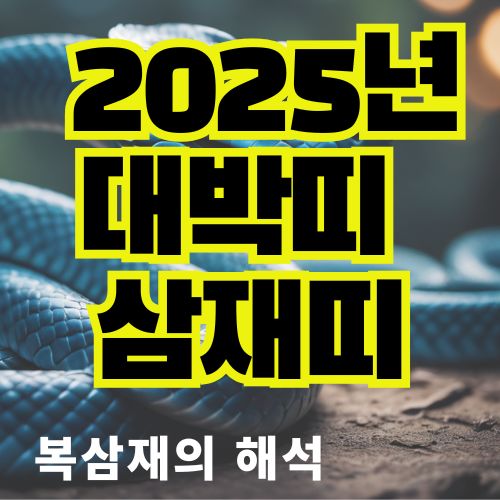 2025년 을사년 대박띠 와 삼재띠