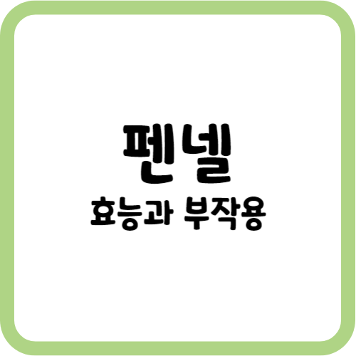 펜넬의 효능과 부작용