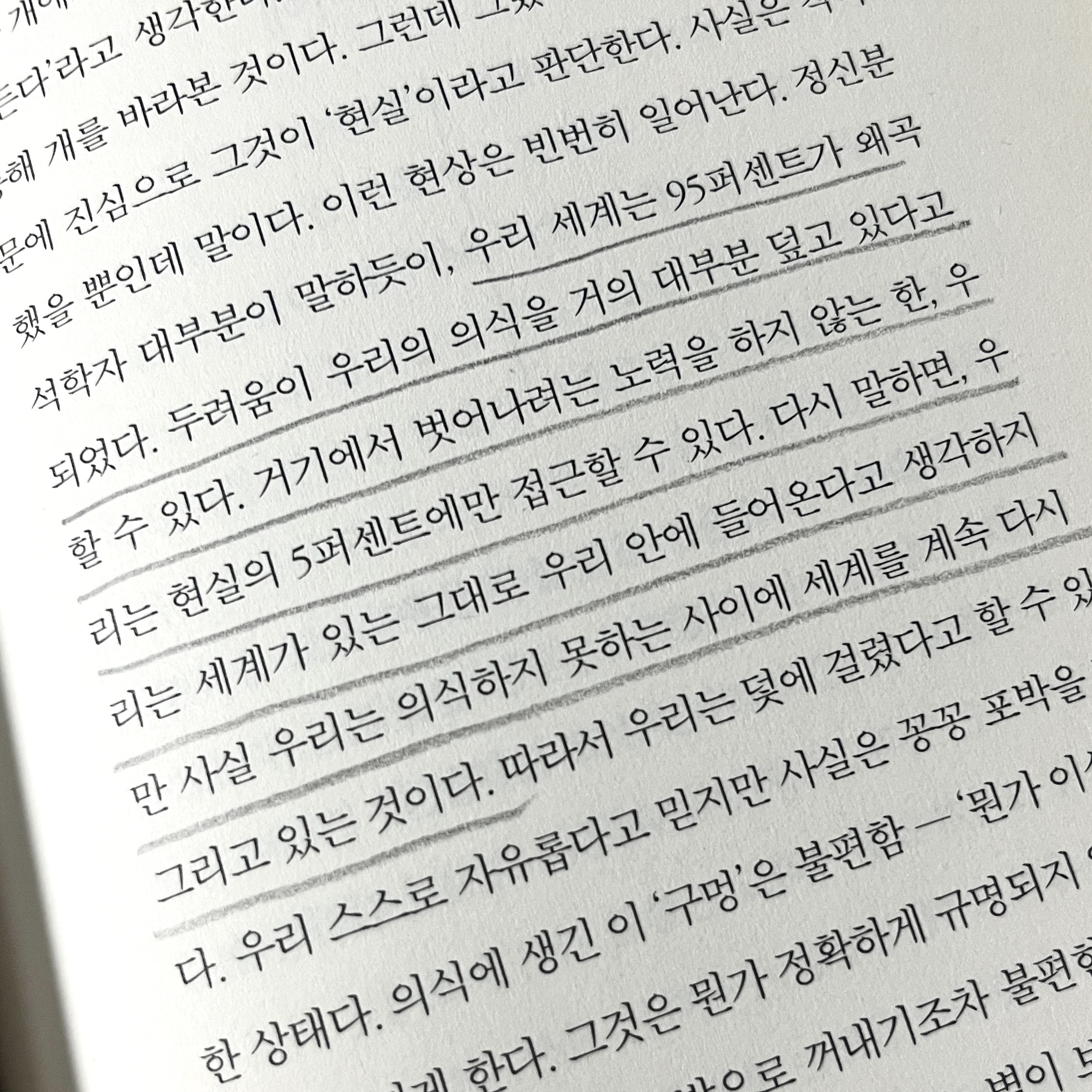 앙드레 이미지