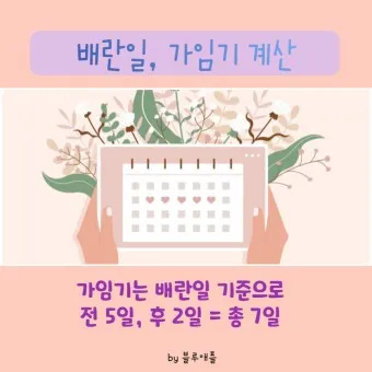 생리전 생리후 임신가능성 배란일 확인_15