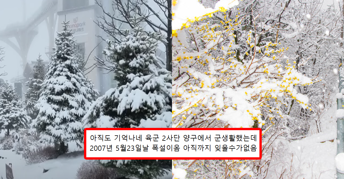  오늘자 대설특보 발령된 강원도