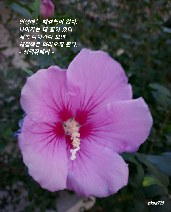 따뜻한하루에 이미지