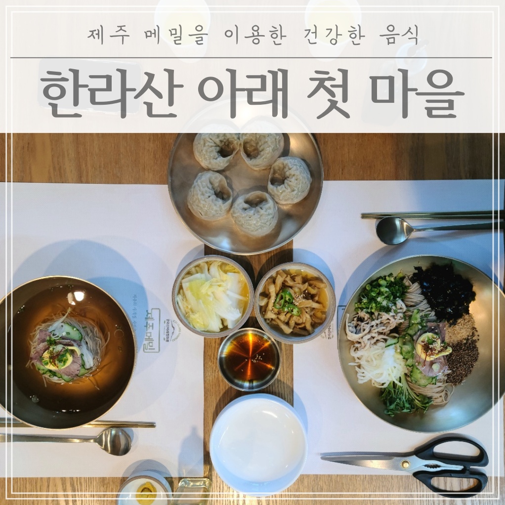  제주도민들이 쉬쉬하는 숨은 맛집! 한라산아래첫마을 제주메밀식당