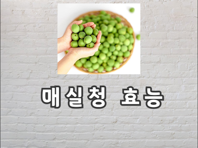  매실청 효능과 먹는법 부작용까지 모두 보고가세요