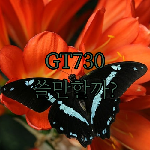 GT 730 그래픽 카드 리뷰 가성비