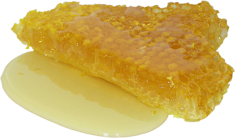 꿀의 효능