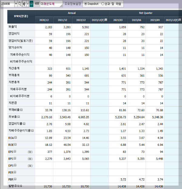 미래반도체의 재무제표