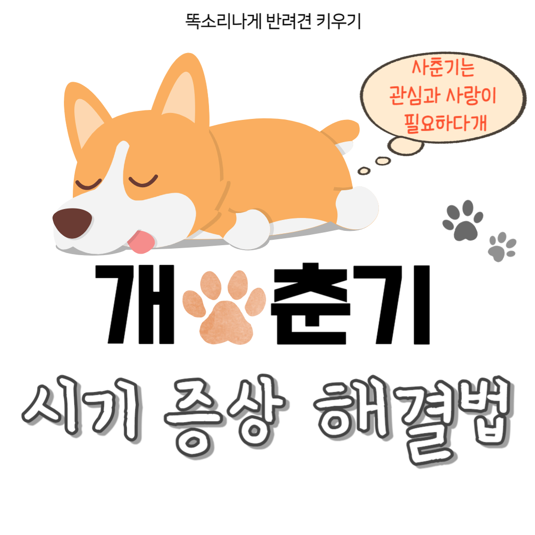 개춘기 시기 증상 해결법