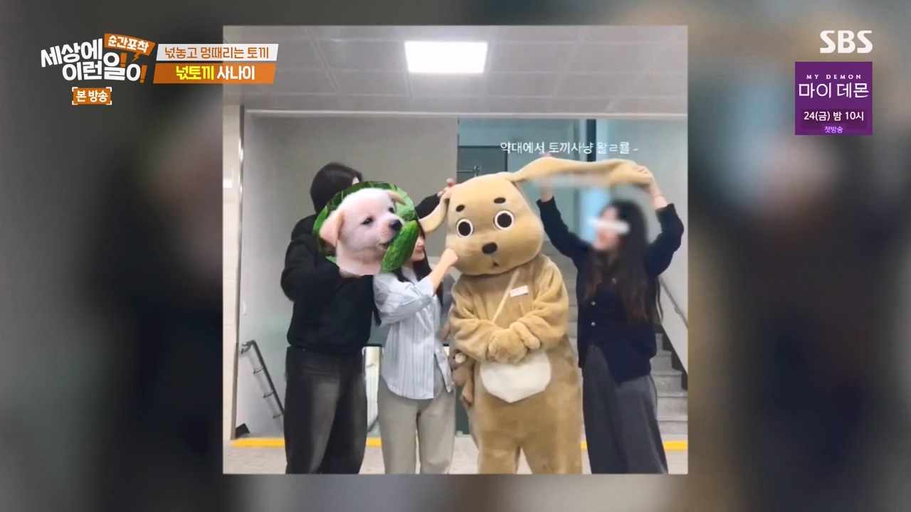 순간포착 세상에 이런일이.E1251.231105p-NEXT.mp4_20231105_172816.709.jpg