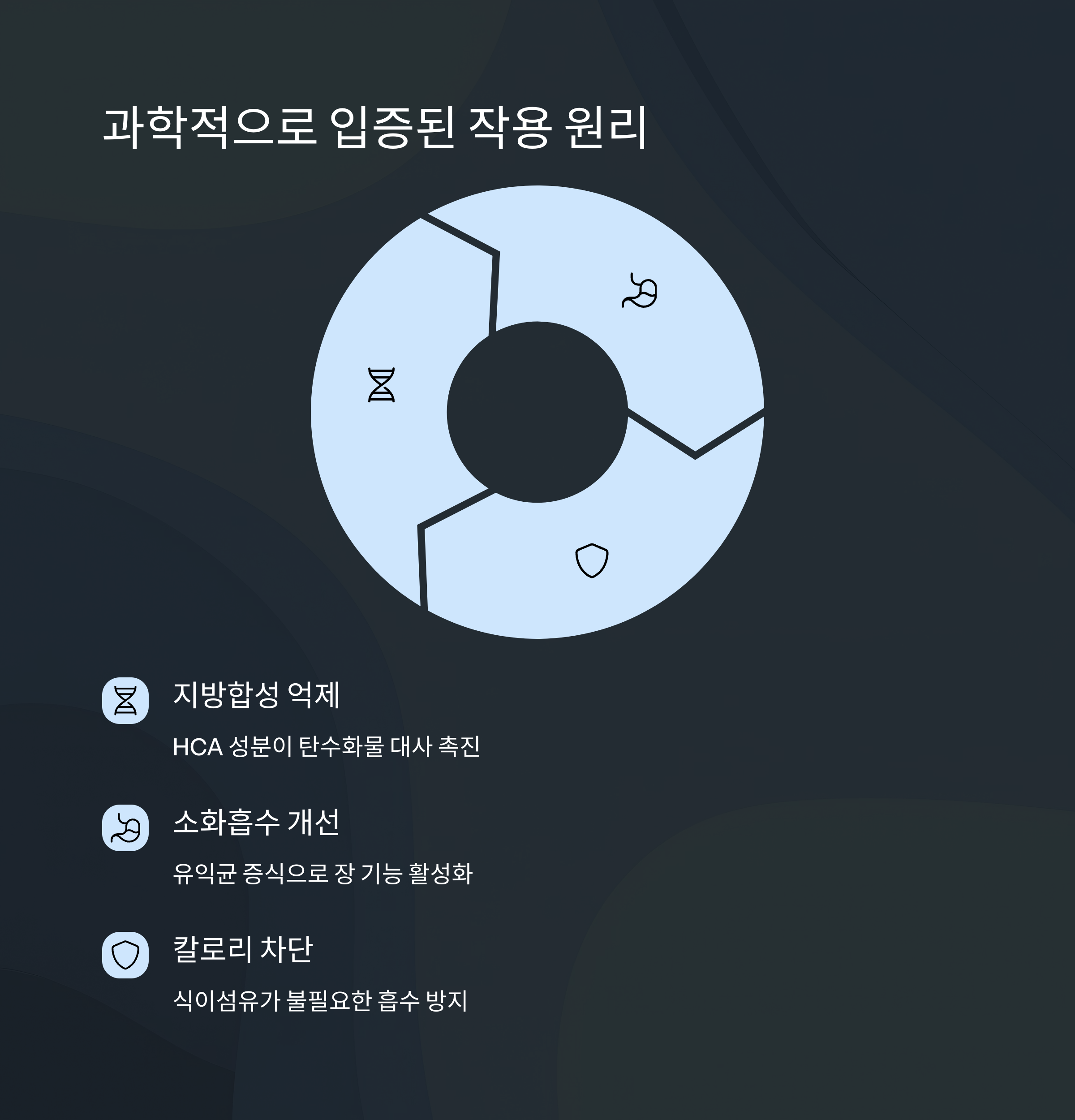 체중감량 작용 원리