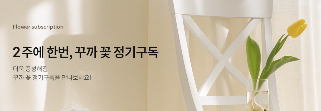  kkuka 꾸까 할인코드 2월 의 탄생화 라넌큘러스 더욱 풍성해진 정기구독