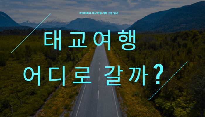  태교여행 예약 후기("정선 파크로쉬 예약 후기")