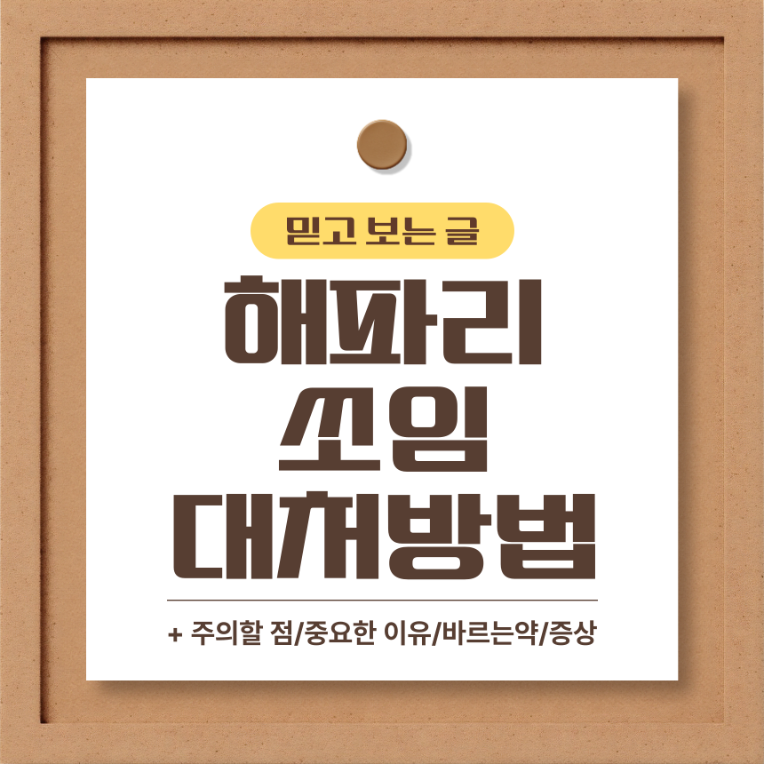해파리 쏘임