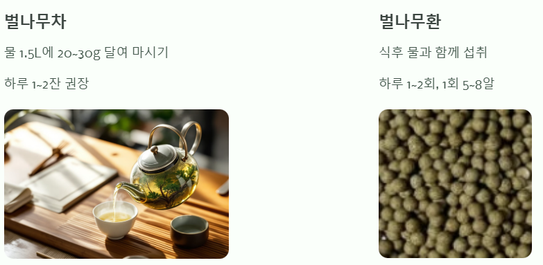 벌나무 섭취 방법과 일일 권장량 예시 사진