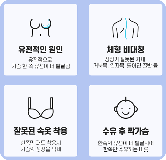 짝가슴수술비용2