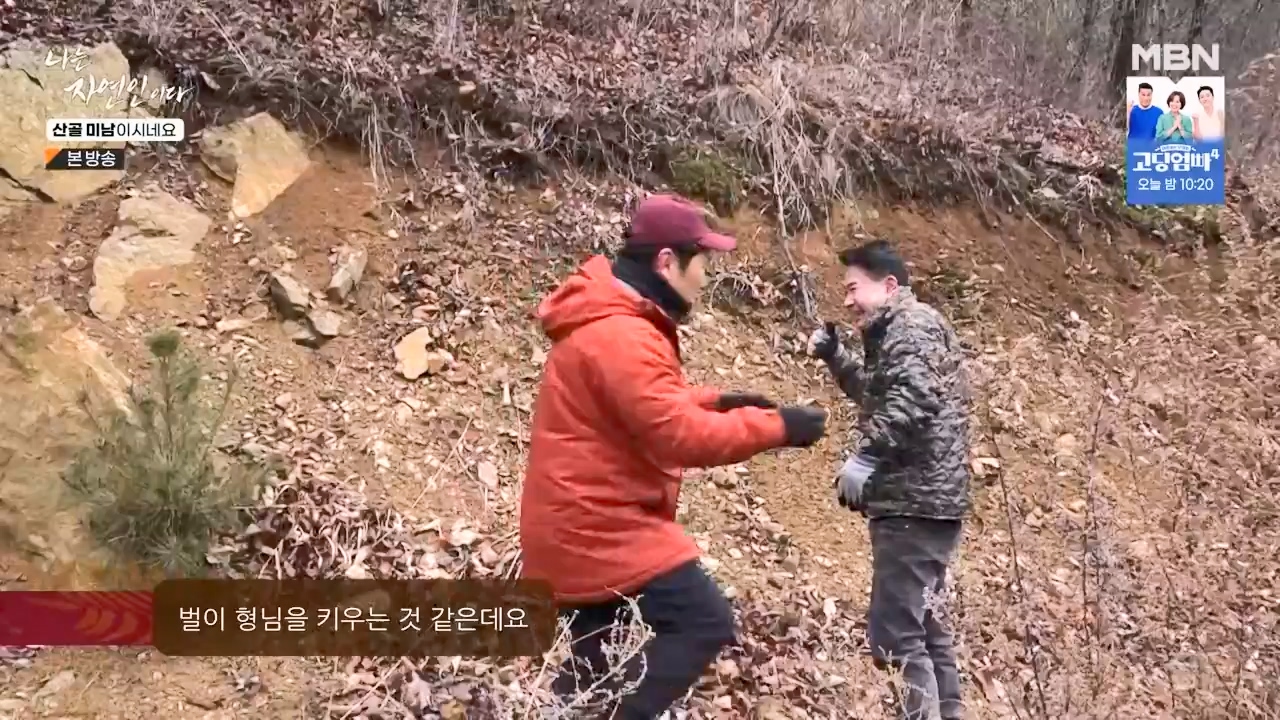 나는 자연인이다.E592.240208p-NEXT.mp4_20240208_193236.883.jpg