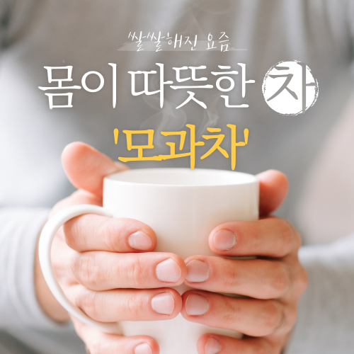  따뜻한 모과차만들기