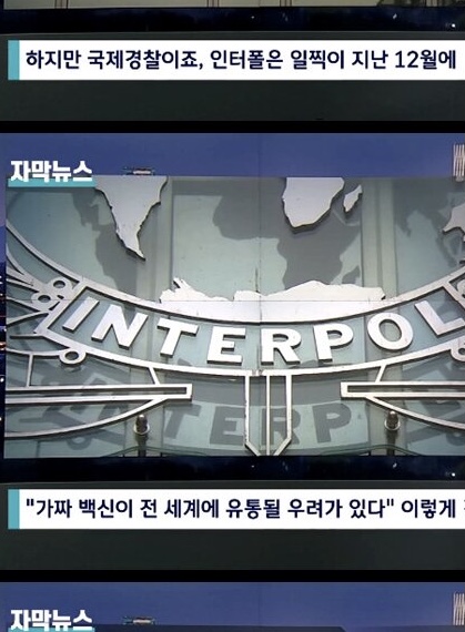  대구 백신 사기의 전말