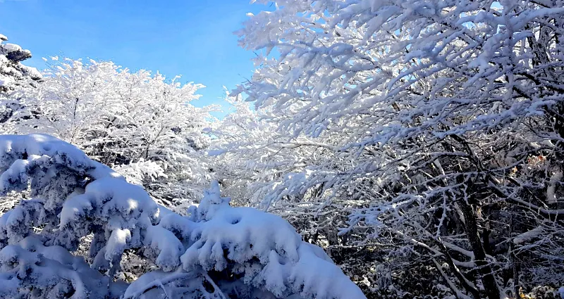 제주 한라산 설경 상고대