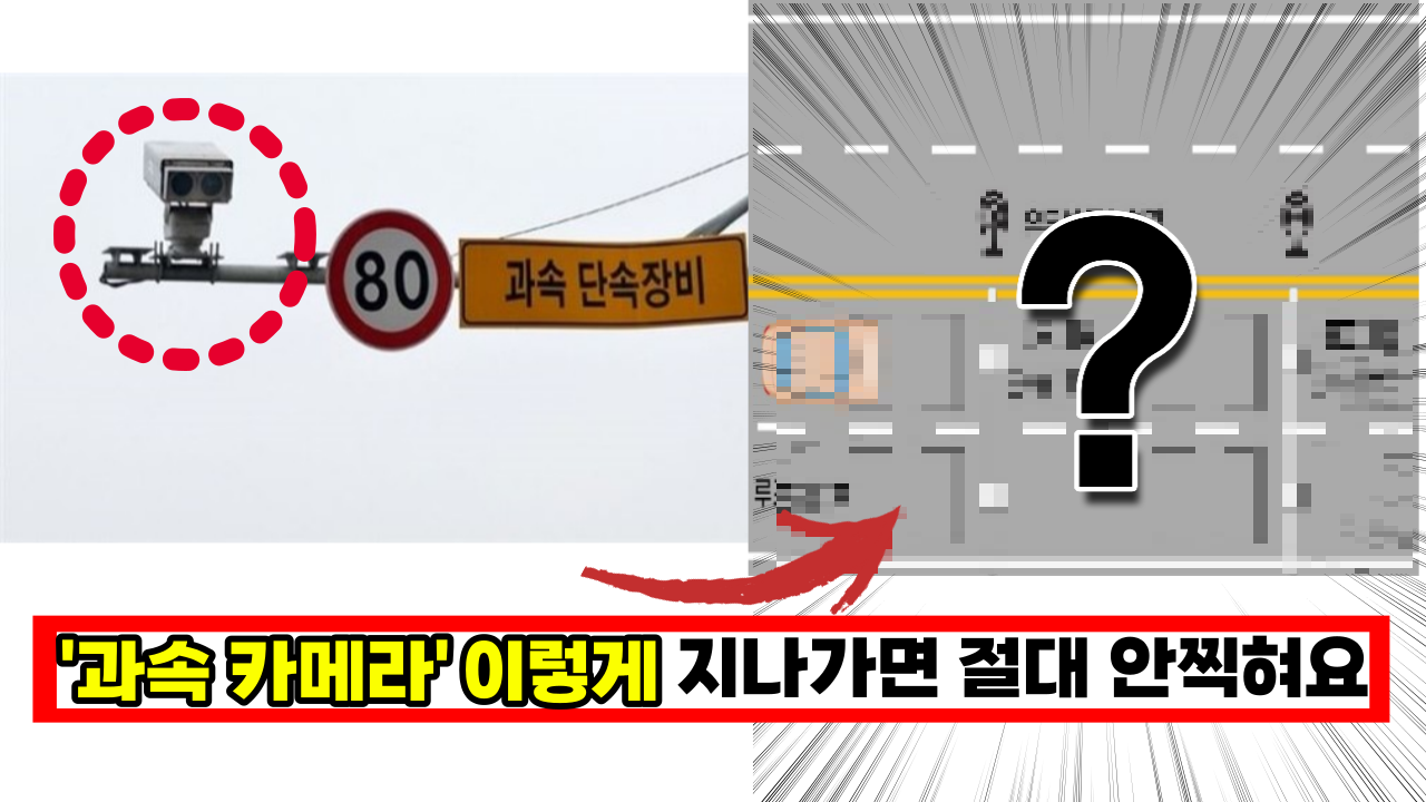  '과속 단속 카메라' 이렇게 하면 절대 안찍혀요. 운전자 80%가 모르는 이것 꼭 알아두세요.
