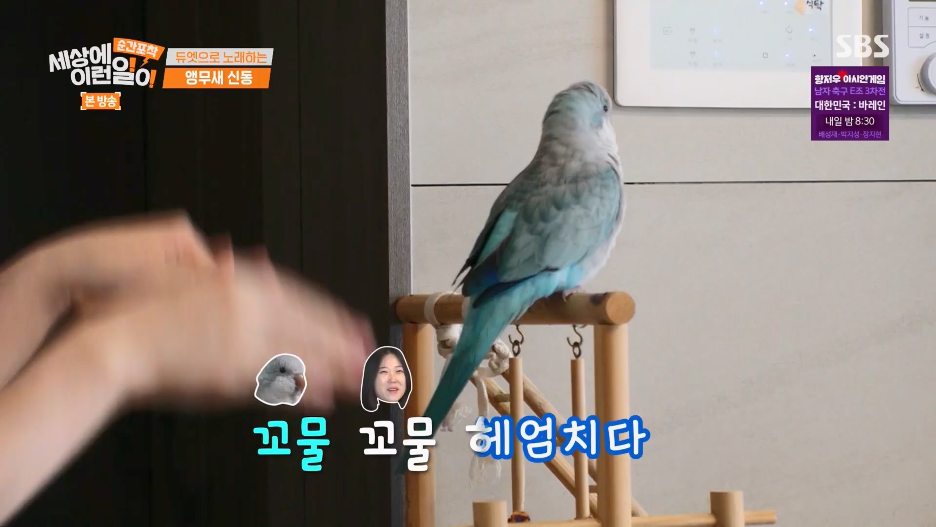 순간포착 세상에 이런일이.E1247.230923p.H264-F1RST.mp4_20230924_152648.453.jpg